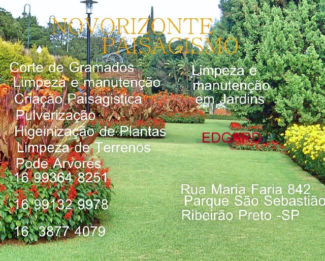 Foto 1 - Servios de jardinagem