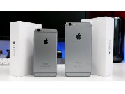 Apples iphone 6  /  iphone 6 plus