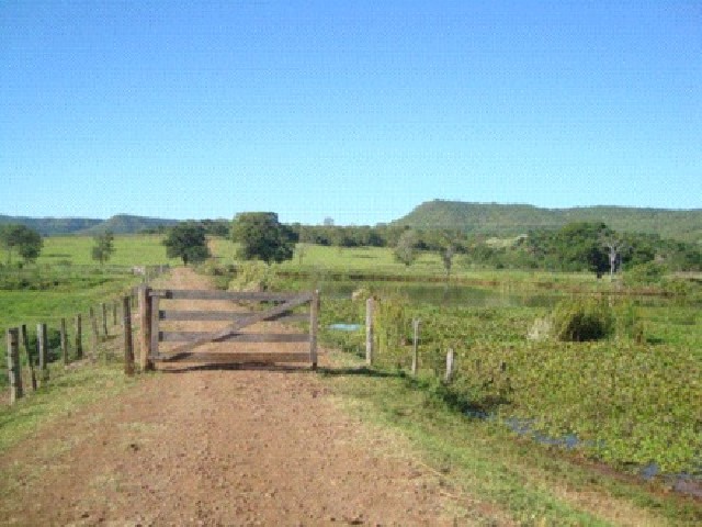 Fazenda para gado