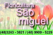 Floricultura são miguel - centro - biguaçu - sc